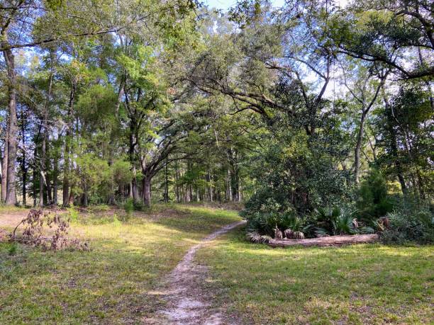 istock Colonial Dorchester State Historic Site in South Carolina 1722519552