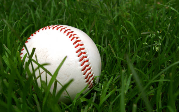 Baseball in the outfield stock photo