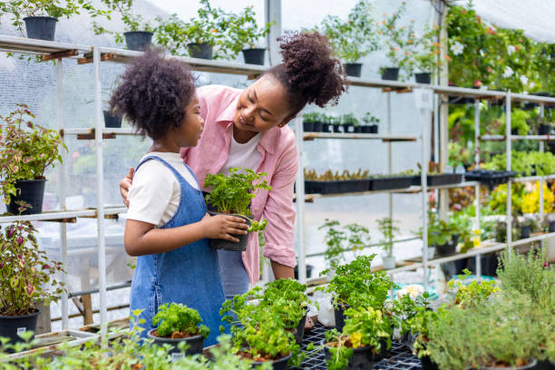 African mother and daughter is choosing vegetable and herb plant from the local garden center nursery with shopping cart full of summer plant for weekend gardening and outdoor African mother and daughter is choosing vegetable and herb plant from the local garden center nursery full of summer plant for weekend gardening and outdoor concept rosemary seedlings stock pictures, royalty-free photos & images