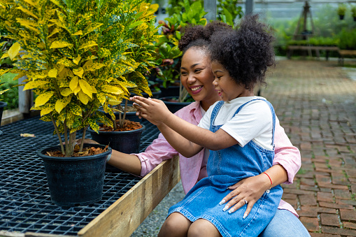African mother and daughter is choosing tropical and ornamental plant from the local garden center nursery during summer for weekend gardening and outdoor