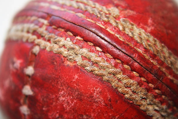 Cricket Ball stock photo