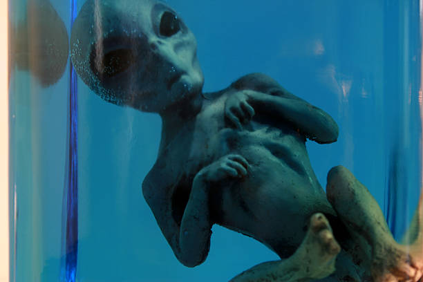 Alien Body Preserved in Blue Liquid stock photo