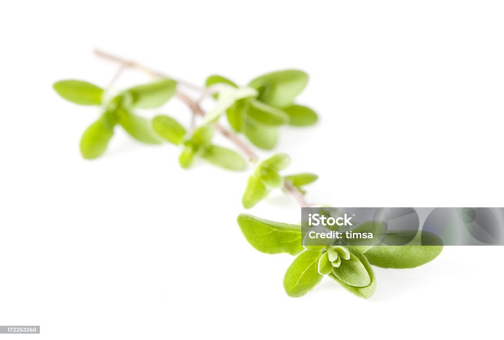 Sweet marjoram Fresh cut twig of sweet majoram, an aromatic herb used for soups, salads and meats. Similar herb photos: Cut Out Stock Photo