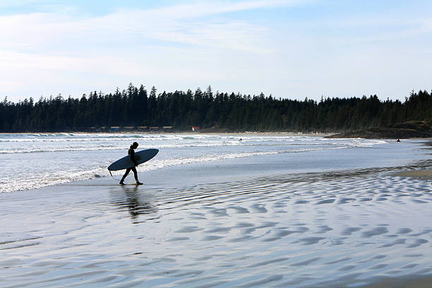istock Long Beach Surfer. Vancouver Island 172253452