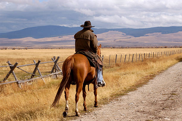 A cowboy riding a horse on a dirt trail stock photo