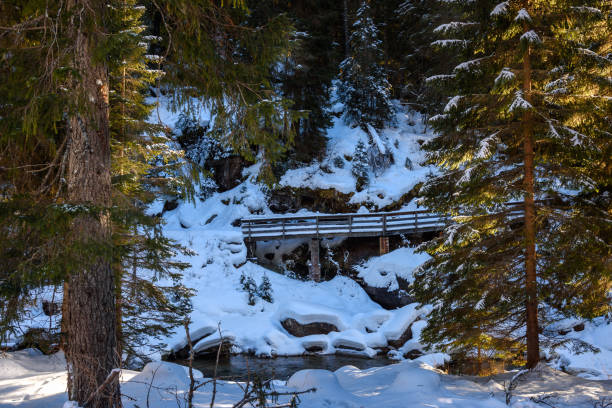 Mountainside fenced walkway running along a stream in a snowy forest on a sunny winter day
