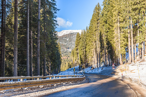 Deserted icy alpine road through a dense forest on a sunny winter day