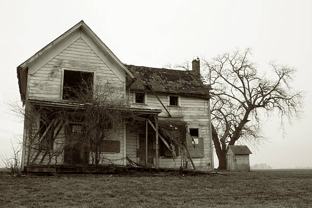 istock Abandoned house with a tree and shed 172253928