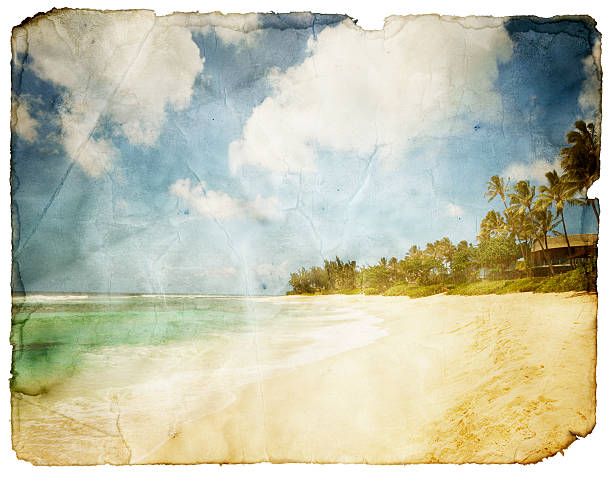 grungy tropical pohlednice (ořezová cesta; xxl) - havaj fotky - stock snímky, obrázky a fotky