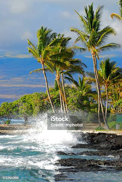 Живописный Пляж — стоковые фотографии и другие картинки Без людей - Без людей, Биг Айлэнд - Гавайские острова, Бирюзовый