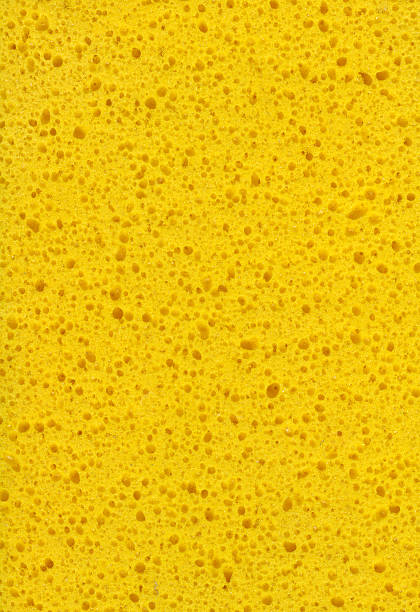 istock Yellow Sponge XXL 172254413