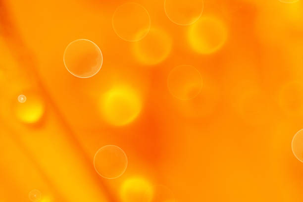 istock Abstract orange background with circular details 172254433