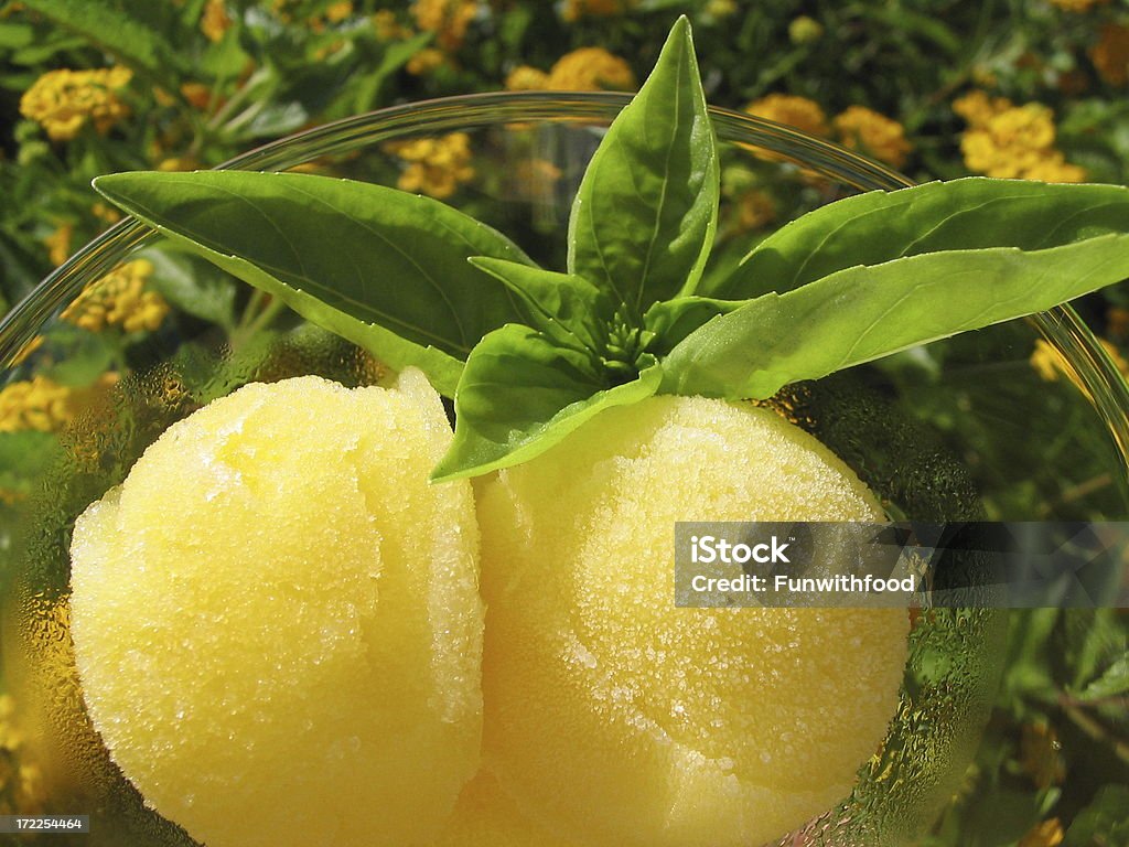 Orange Sorbet, Citrus-Frucht Eis Sie im Freien - Lizenzfrei Basilikum Stock-Foto