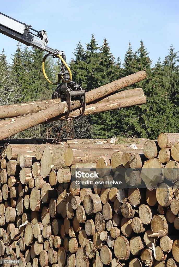 La economía forestal - Foto de stock de Hacia delante libre de derechos
