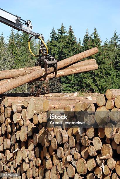 La Economía Forestal Foto de stock y más banco de imágenes de Hacia delante - Hacia delante, Industria forestal, Abeto