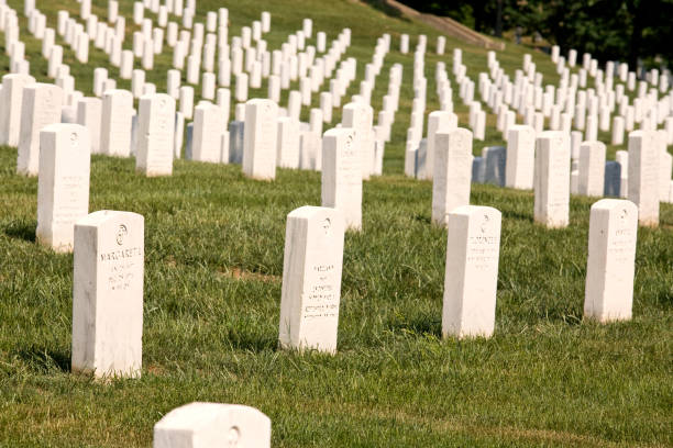 istock Lines of Headstones 172254588