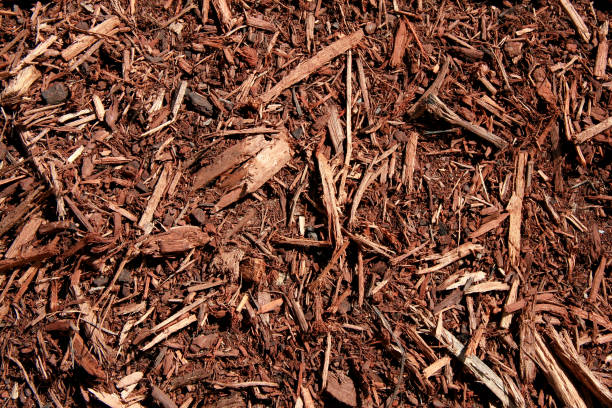 istock Mulch closeup on the ground 172254645