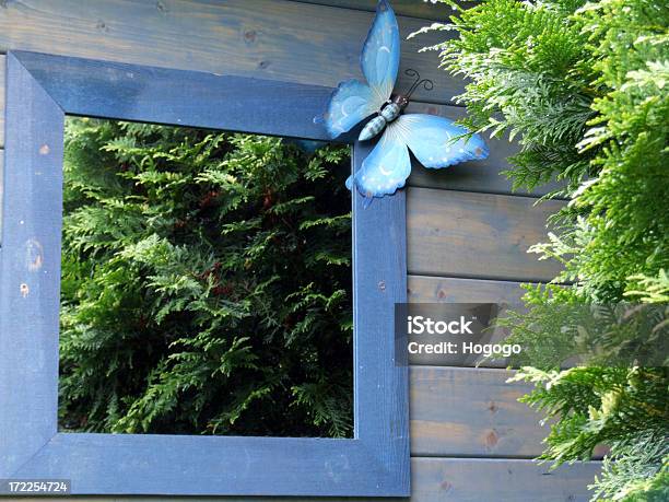 ビッグブルーのバタフライ - 鏡のストックフォトや画像を多数ご用意 - 鏡, 整形式庭園, 額縁