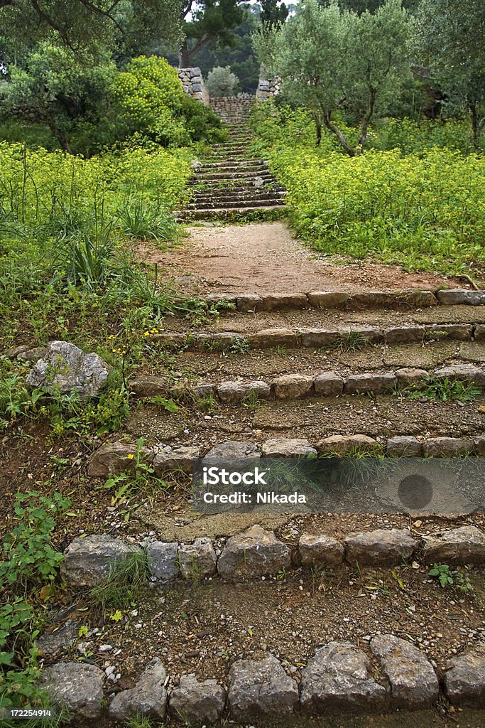 Stary Kamień kroki - Zbiór zdjęć royalty-free (Klatka schodowa)