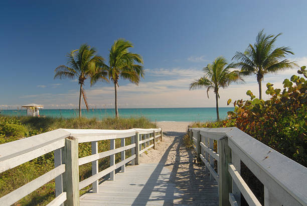 boardwalk zum strand 1 - elevated walkway stock-fotos und bilder