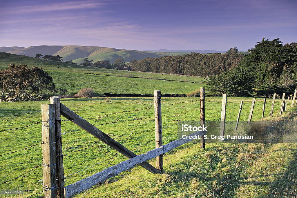 Rural, California - Foto de stock de Condado de Marin libre de derechos