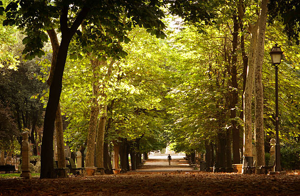 로네 사람이 걷기 파크 앳 보르게세 공원 (rome, italy - villa borghese 뉴스 사진 이미지