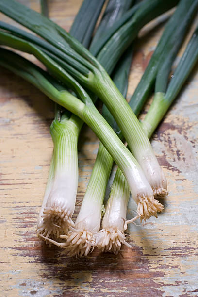 istock Green Onions - Scallions 172255472