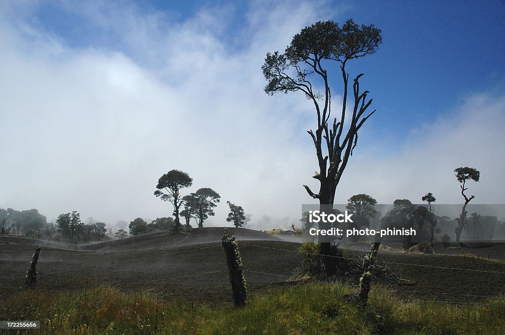 Misty paisaje - Foto de stock de Deforestación - Desastre ecológico libre de derechos