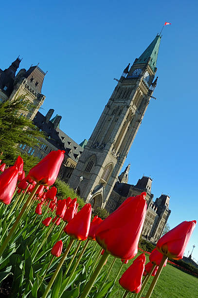 istock Ottawa Tulip festival 172255790