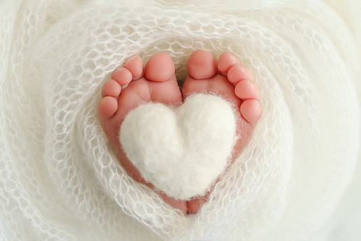 Small childrens feet in their parents hands. Taking care of the newborns health
