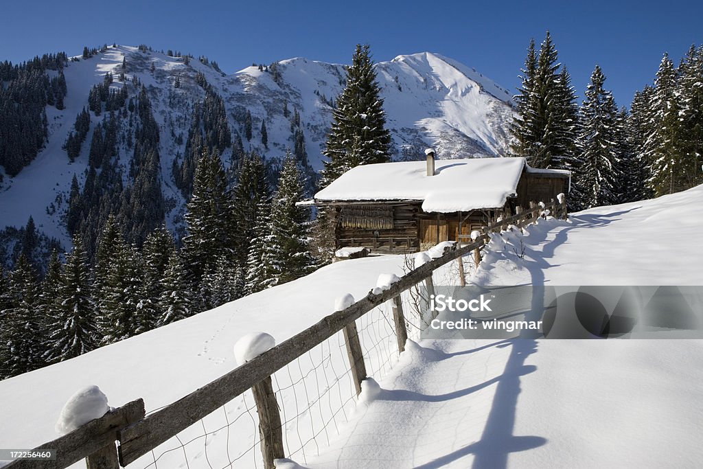 Clôture d'hiver - Photo de Autriche libre de droits