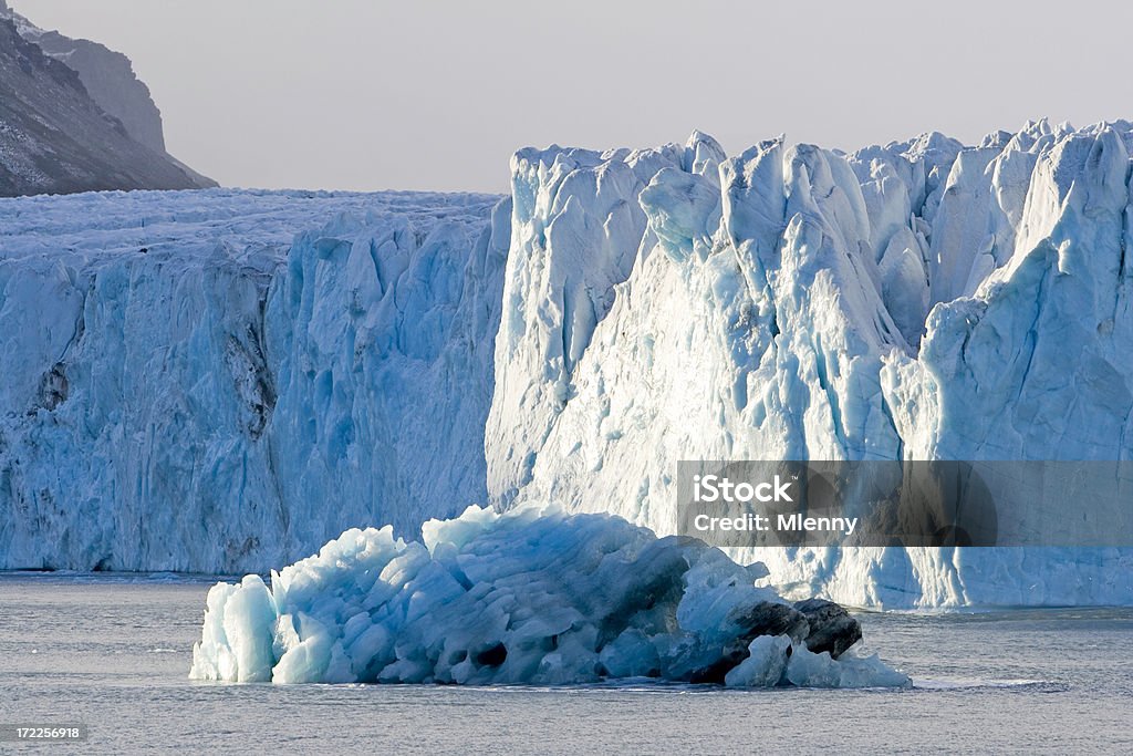 Iceberg a fronte del ghiacciaio antartico - Foto stock royalty-free di Ghiacciaio