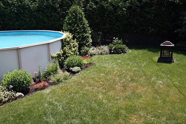 istock Swimming Pool in Suburb House Backyard in Summer 172256990