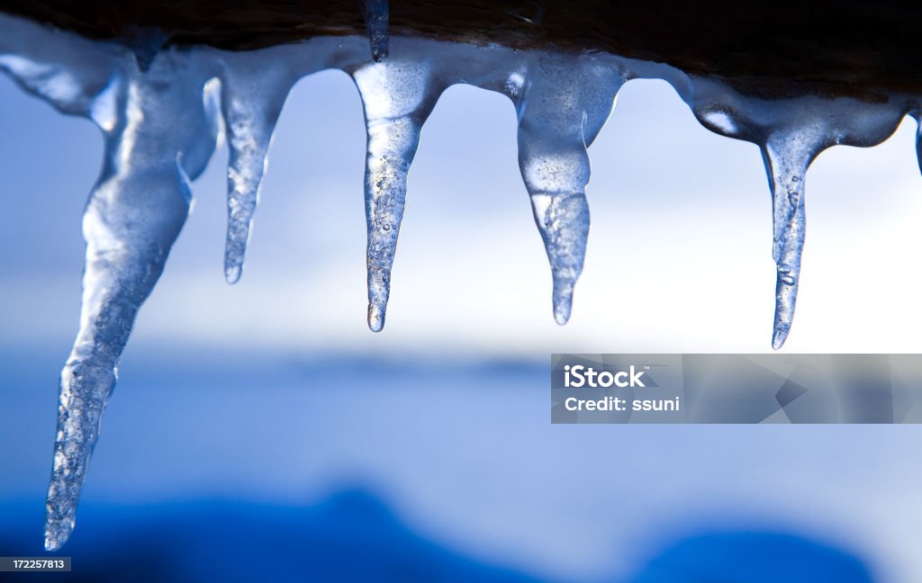 블루 icicles - 로열티 프리 0명 스톡 사진