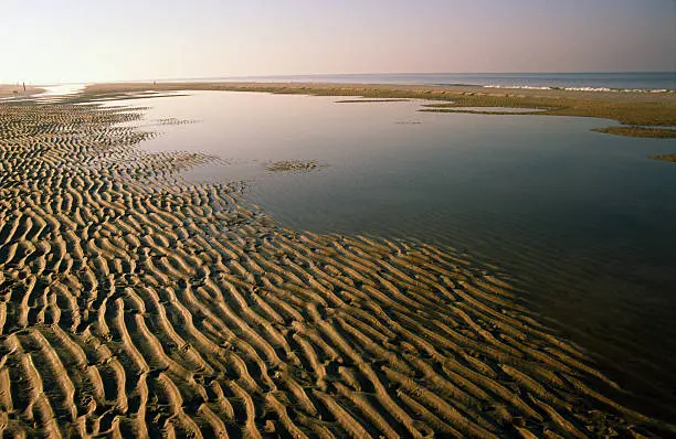 "Sandwaves, Dutch seashore"