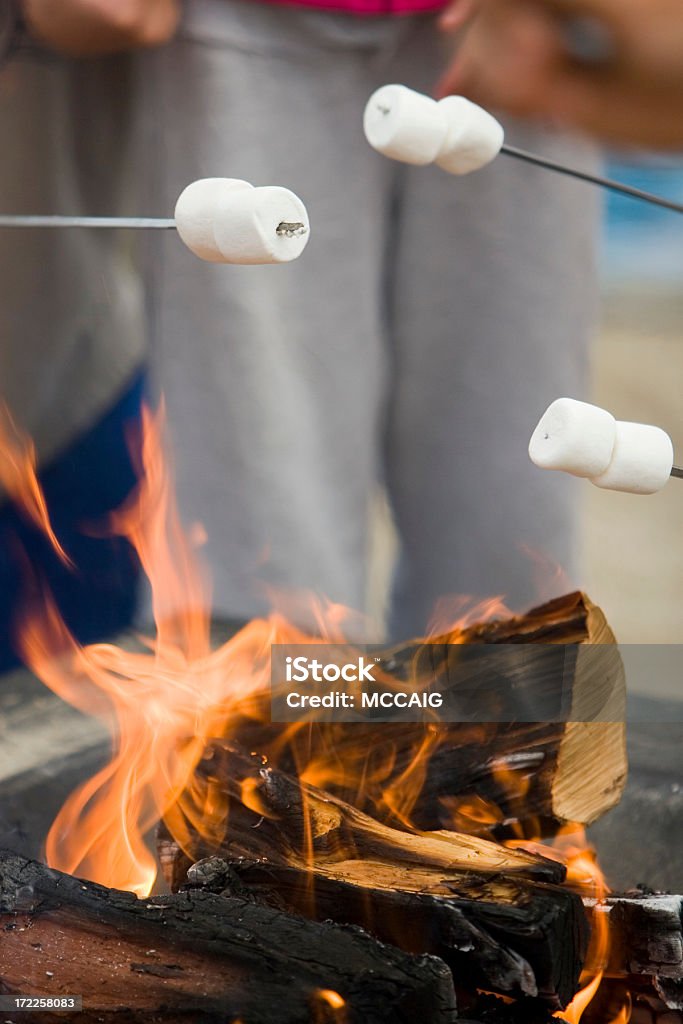camp fire Roasting marshmallows over a camp fire. Barbecue - Meal Stock Photo