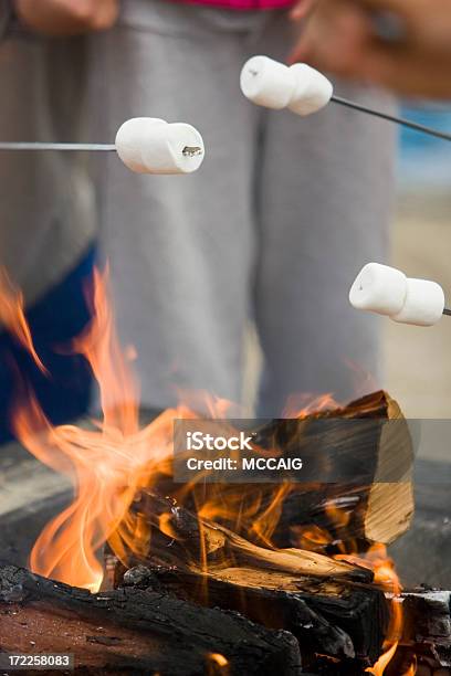 Camp Fire Stock Photo - Download Image Now - Barbecue - Meal, Campfire, Smore