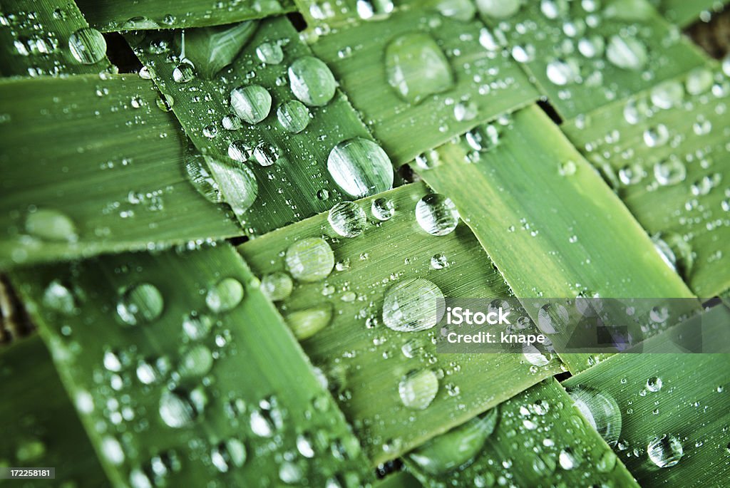 Verde - Foto stock royalty-free di Ambiente