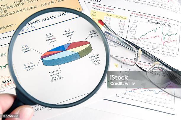 Relatório Financeiro - Fotografias de stock e mais imagens de Mutual Fund - Mutual Fund, Gráfico Redondo, Escrutínio