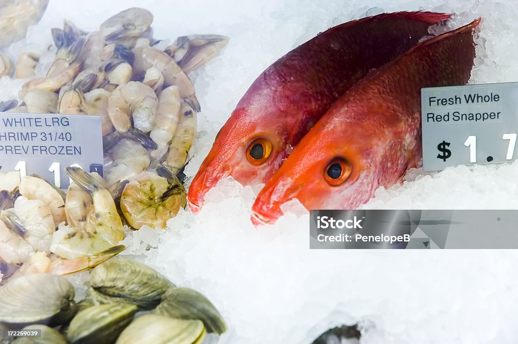 Rosso Snappers - Foto stock royalty-free di Animale