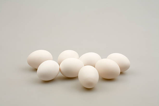 Ovos brancos - foto de acervo