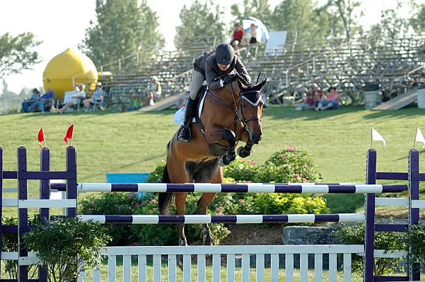 Horse Show jumping competition
