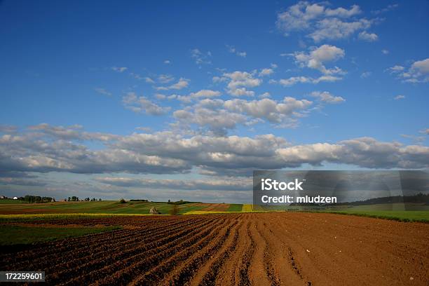 Ackerland Im Frühling Stockfoto und mehr Bilder von Agrarbetrieb - Agrarbetrieb, Anhöhe, Blau