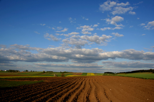 Agricultural Harmony: Plowed Field at Sunset on a Cloudy Autumn Day.
