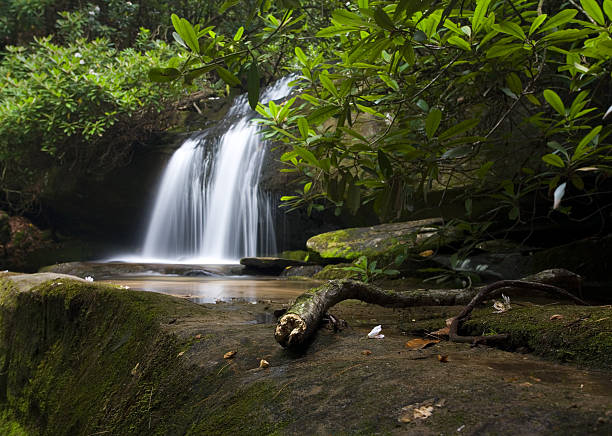 Chutes de Crow creek - Photo