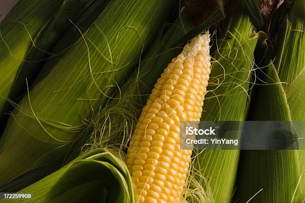 Corn Scartocciatura Del Grano - Fotografie stock e altre immagini di Cartoccio - Cartoccio, Cereale, Cibi e bevande