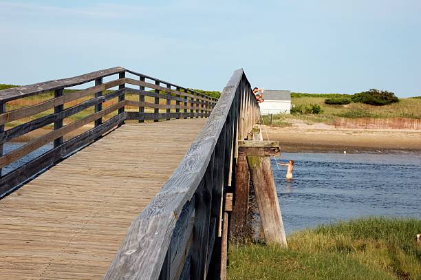istock pier to the beach 172260008