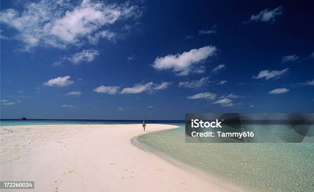 Paradise Encontrado - Fotografias de stock e mais imagens de Grande Barreira de Coral - Grande Barreira de Coral, Mulheres, Só Uma Mulher