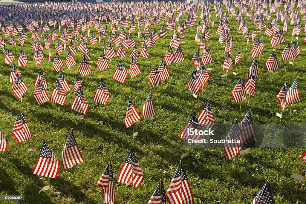 Memorial Day Small American flags dot a field in remembrance of war deadOthers from this series: American Culture Stock Photo