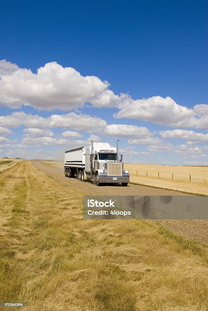 Transportando grãos - Foto de stock de Fazenda royalty-free